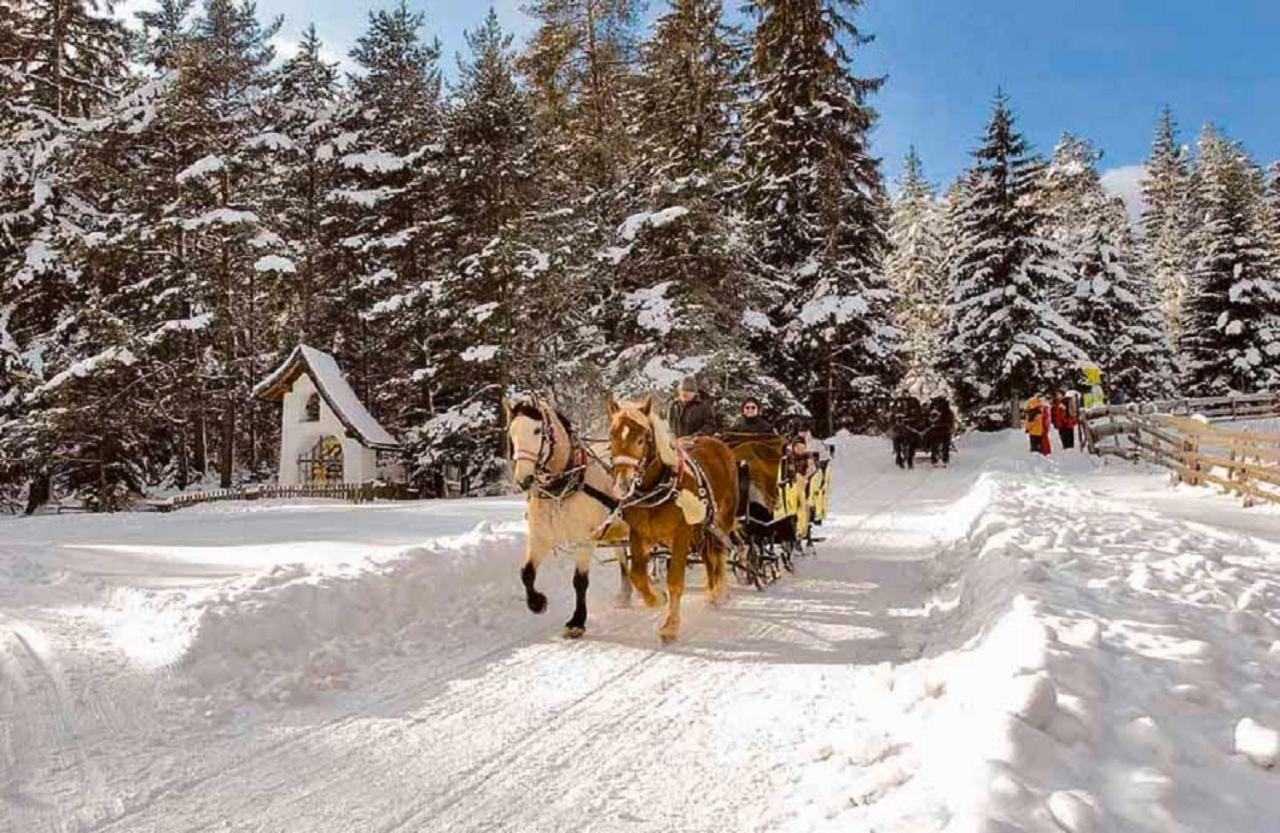 Appartmenthaus Birkenwald Seefeld in Tirol Eksteriør bilde