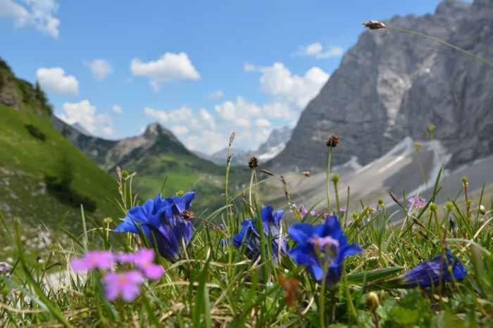 Appartmenthaus Birkenwald Seefeld in Tirol Eksteriør bilde